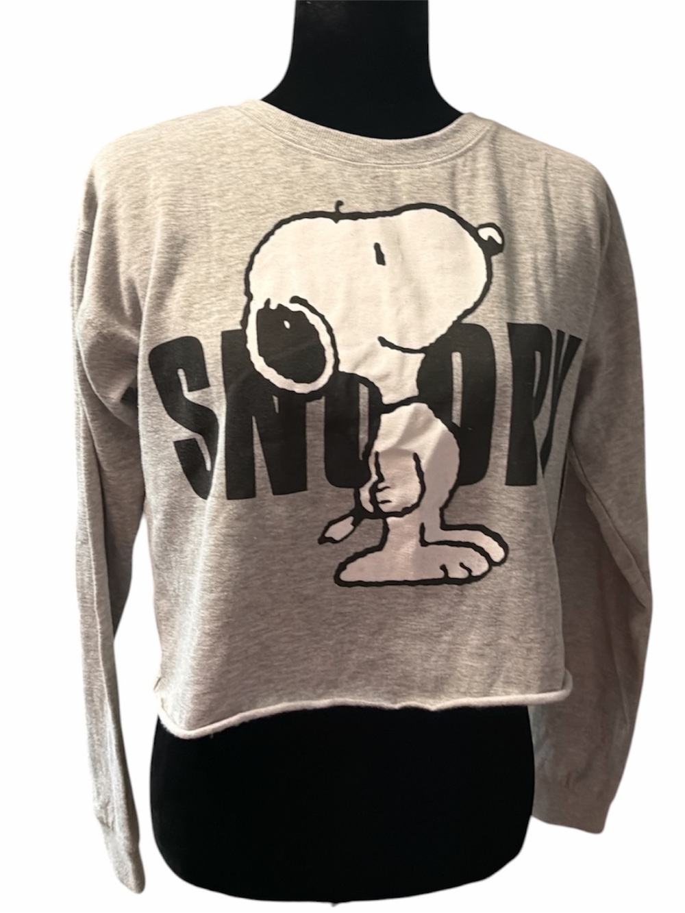 Peanuts Snoopy Cropped Sweatshirt